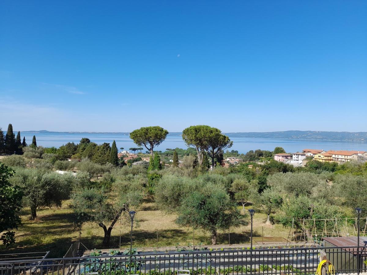 Casa Vacanze Antica Volsinii 博尔塞纳 外观 照片