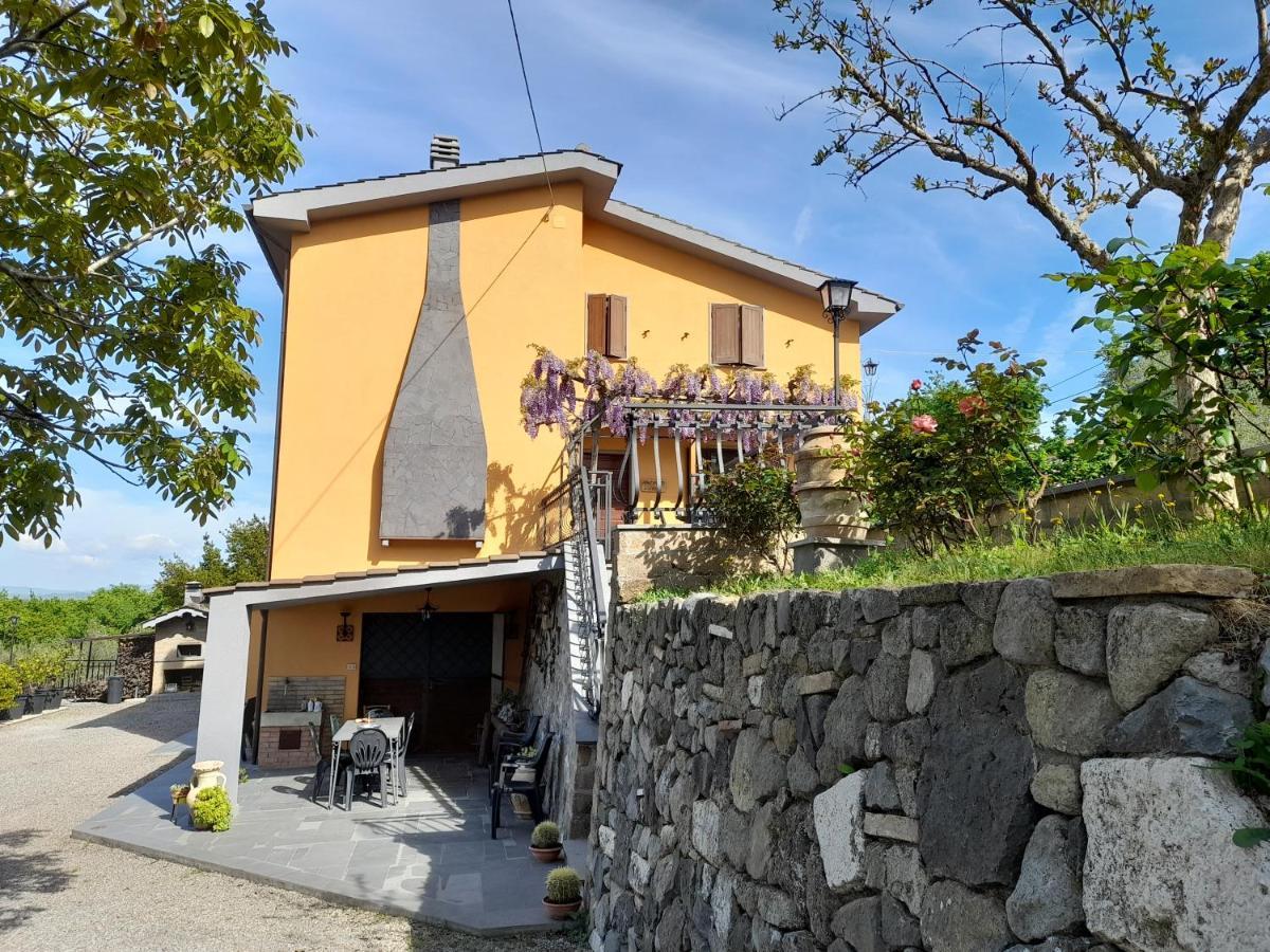 Casa Vacanze Antica Volsinii 博尔塞纳 外观 照片